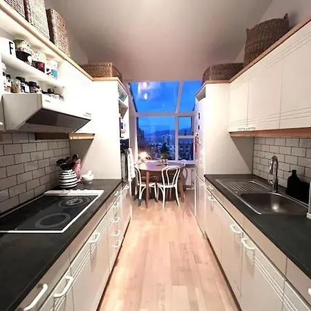 Apartment Penthouse In Rvk With Unique View